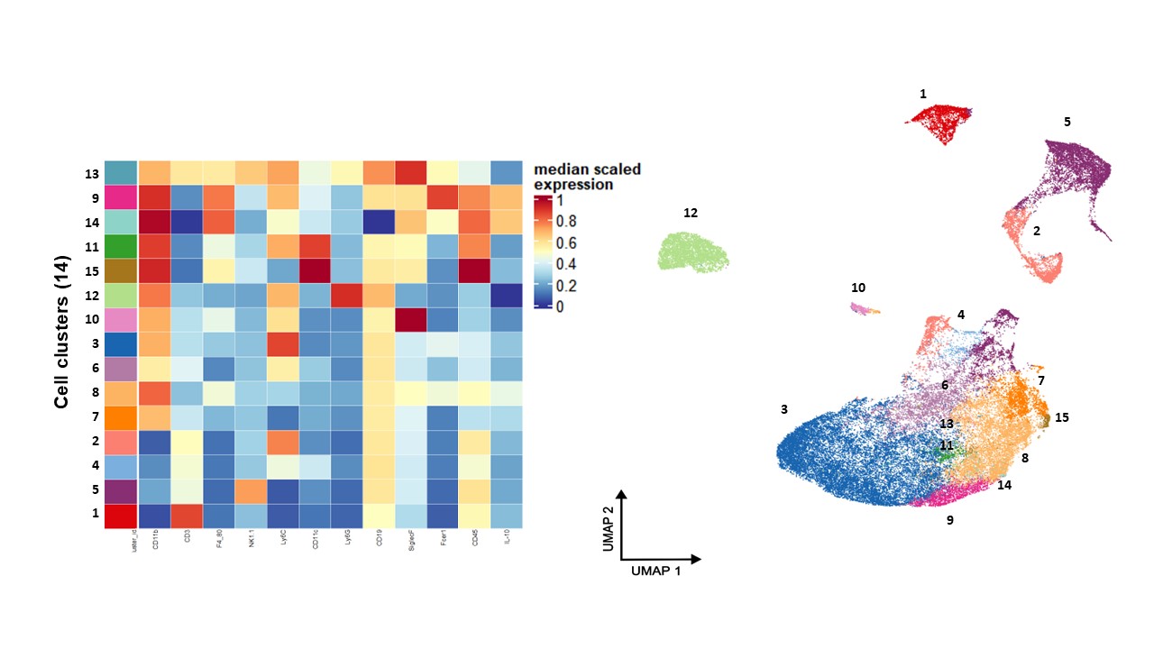 high-dimensional spectral flow cytometry to identify immune cells